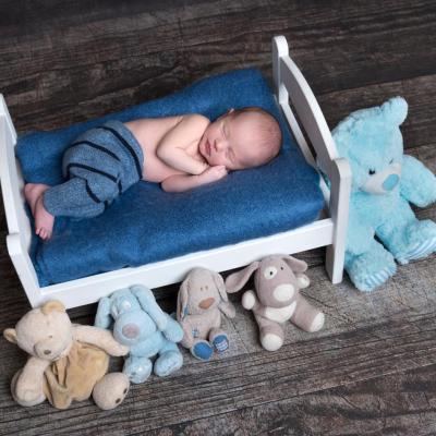 44113633 1070570423109655 5924433546860036096 N 1