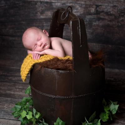 44118595 241238926547655 3181600468799324160 N