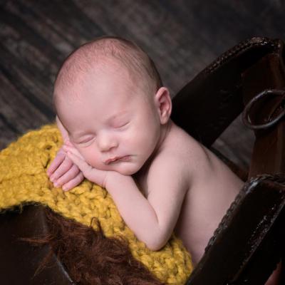 44161323 440027666524133 7739219725212712960 N 1