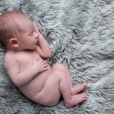 44258675 507309676405228 8442756795889352704 N 1